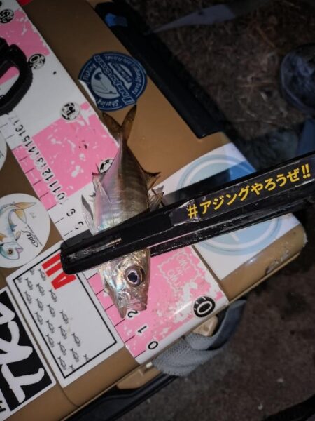 仕事帰りに1時間だけ