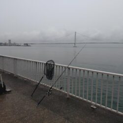平日の雨、ショアジギング🎣