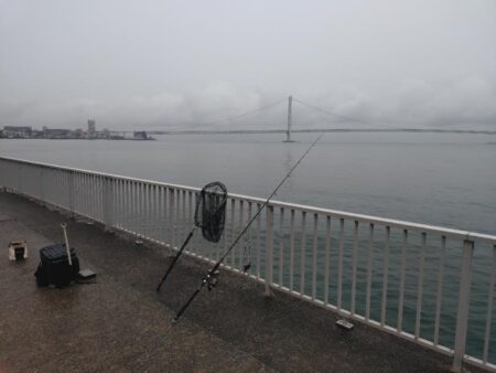 平日の雨、ショアジギング🎣