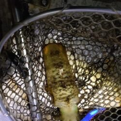 爆風暴風ティップラン