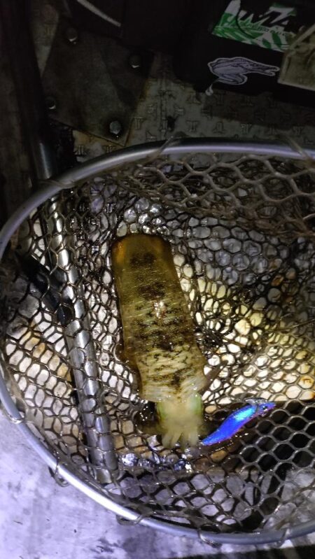爆風暴風ティップラン