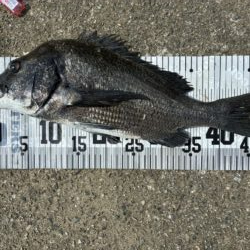 イチノ兄弟、釣果！