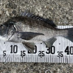 イチノ兄弟、釣果!