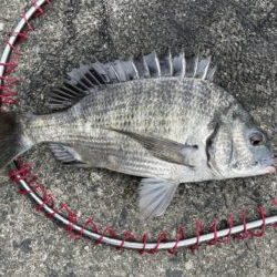 イチノ兄弟、釣果！