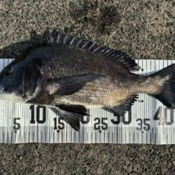 イチノ兄弟、釣果!
