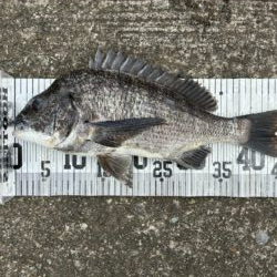イチノ兄弟、釣果！