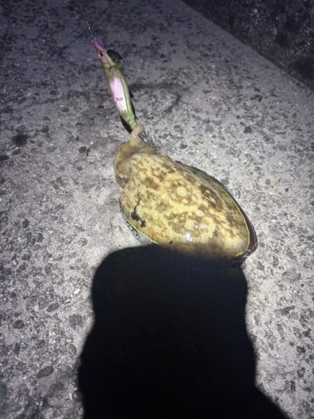 なんとかやれた
