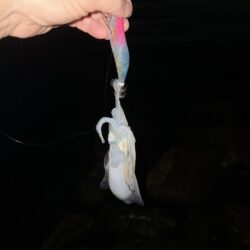まだまだ蒸し暑い!