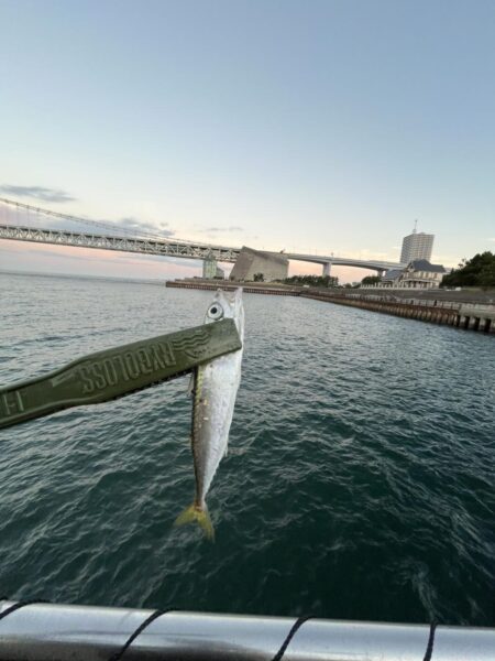 秋っぽい?