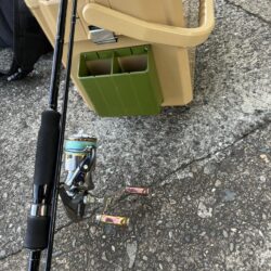 新子調査
