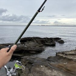 ジグサビキにドンっ！