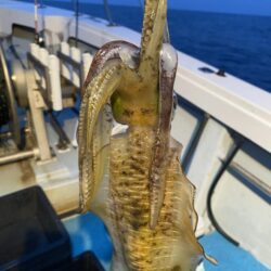 日本海ティップラン