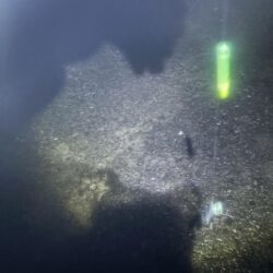 タチウオ釣り