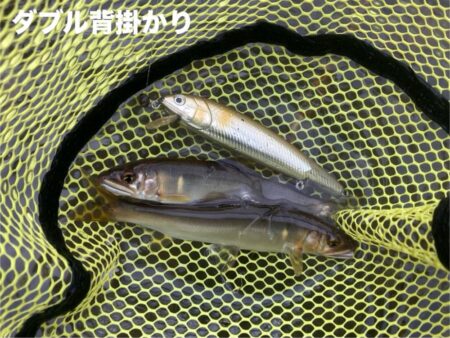 ハイプレッシャー打破!回遊待ちアユイング (北茨城市)