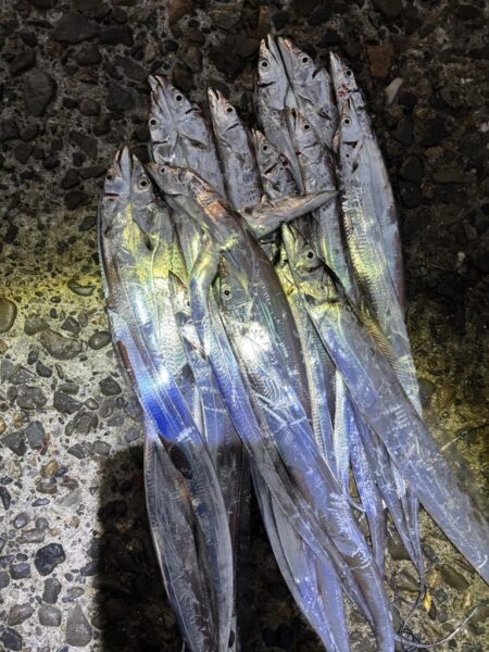 タチウオ釣り