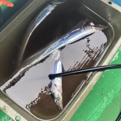 明石沖タチウオジギング