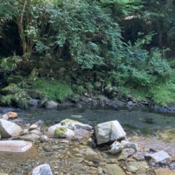 ラスト?渓流