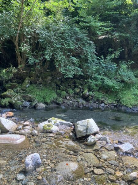 ラスト?渓流