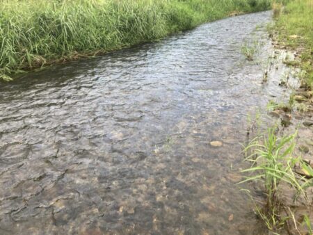 県北アユイング秋シーズン不調…