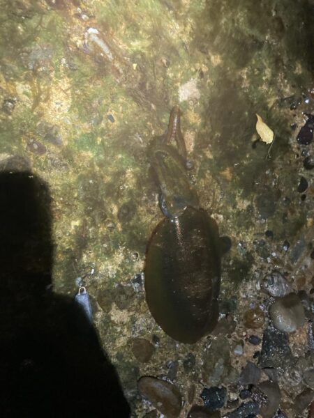 雨にも負けず、風にも負けずに