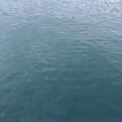 タチウオ釣り