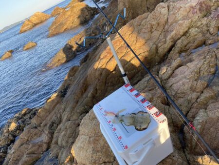 シロギスタ:エギング2戦目は離島の地磯にて