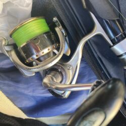 朝の太刀魚調査で14匹GET