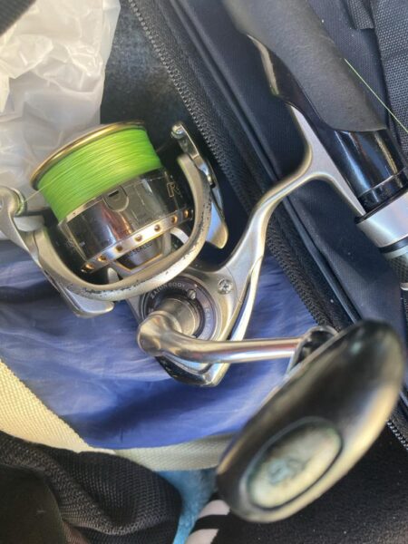 朝の太刀魚調査で14匹GET