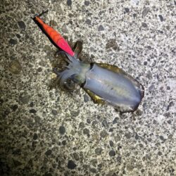 夕方から