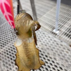 今日も調子に乗って！