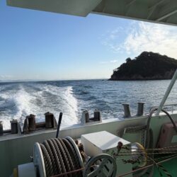 姫路離島エギング｜朝から激渋！