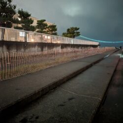 ポツポツ雨の中