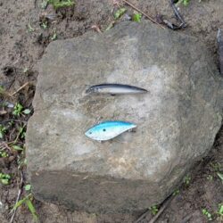 やっと釣れた４０ｕｐ