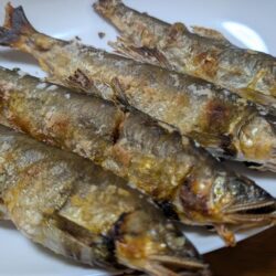 鮎釣り納め