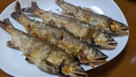 鮎釣り納め