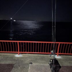 平磯で秋の釣り