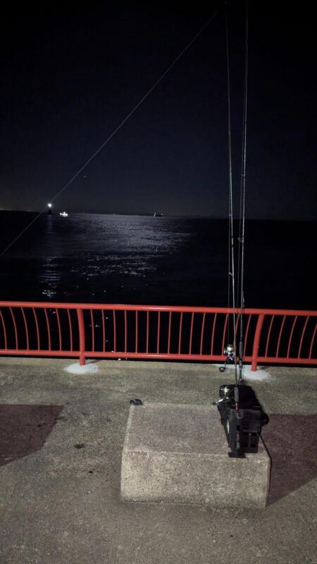 平磯で秋の釣り
