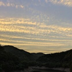 夕マズメ