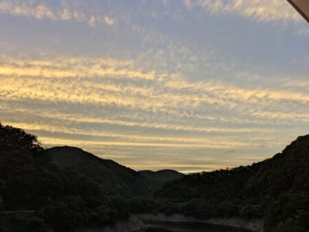 夕マズメ