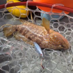 カヤックフィッシング
