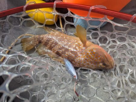 カヤックフィッシング