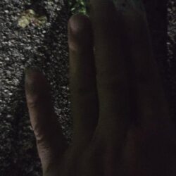 連夜の刀狩り