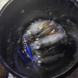 小潮ティップラン