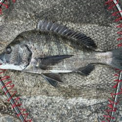 イチノ兄弟、釣果!