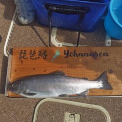 琵琶湖で琵琶マストローリング