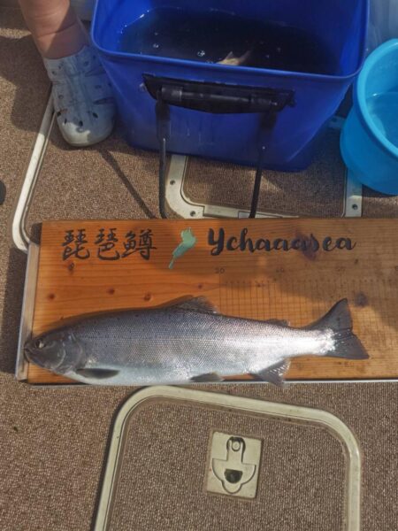 琵琶湖で琵琶マストローリング