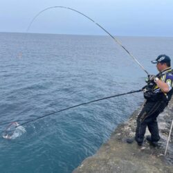 和歌山市江（吉丸渡船）でグレ釣り