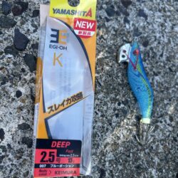 先週よりもサイズアップ