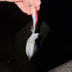 風が・・・