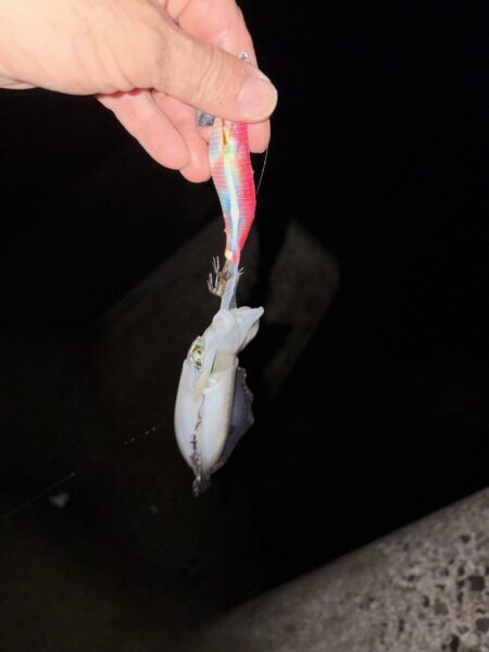 風が・・・